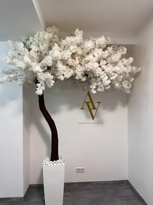 Foto von A&A Headspa & Beauty