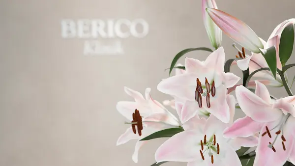 Foto von BERICO Klinik