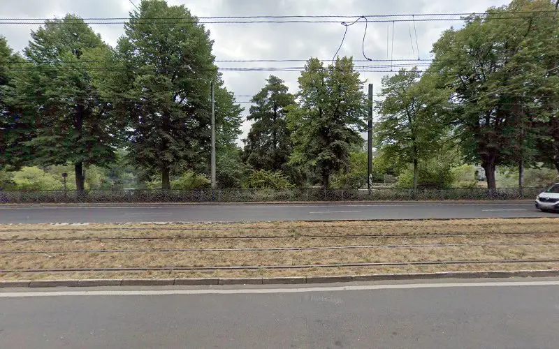 Foto von Hair Deutschland Haartransplantation