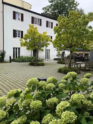 Foto von Munich Hair Transplant, Dr Sussan Rosenthal