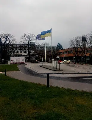 Foto von Private Praxis für Ästhetische Medizin Dr. Kolios